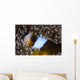 Anemonefish Anemone Australia Wall Decal