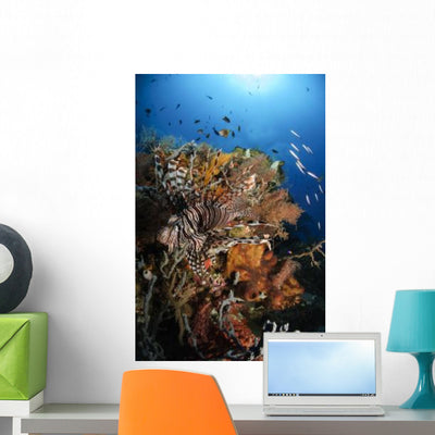 Lionfish Indonesia Wall Decal Design 1 shown on a wall