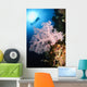 Diver over Soft Coral Wall Decal Design 2