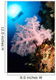 Diver over Soft Coral Wall Decal Design 2