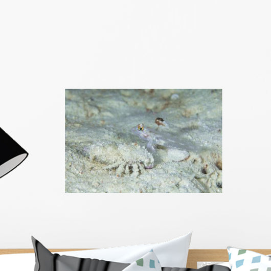 Goby with Hermit Crab Wall Decal