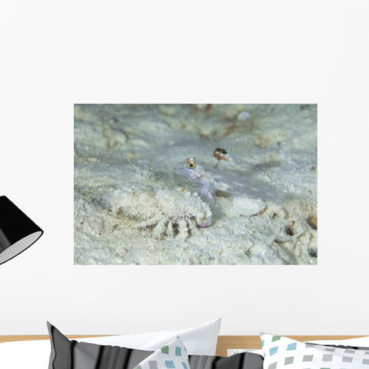 Goby with Hermit Crab Wall Decal