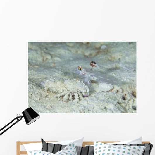 Goby with Hermit Crab Wall Decal