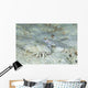 Goby with Hermit Crab Wall Decal