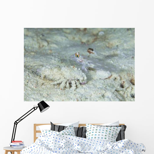 Goby with Hermit Crab Wall Decal