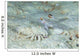 Goby with Hermit Crab Wall Decal