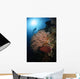 Diver over Soft Coral Wall Decal Design 1