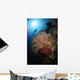 Diver over Soft Coral Wall Decal Design 1