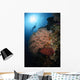 Diver over Soft Coral Wall Decal Design 1