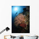Diver over Soft Coral Wall Decal Design 1