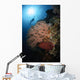 Diver over Soft Coral Wall Decal Design 1