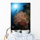 Diver over Soft Coral Wall Decal Design 1