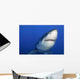 Female Great White Shark Wall Decal Design 1