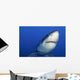 Female Great White Shark Wall Decal Design 1