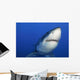 Female Great White Shark Wall Decal Design 1