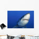 Female Great White Shark Wall Decal Design 1