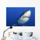 Female Great White Shark Wall Decal Design 1