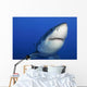 Female Great White Shark Wall Decal Design 1