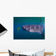 Whale Shark Feeding Fish Wall Decal