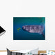 Whale Shark Feeding Fish Wall Decal