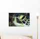 Hawksbill Sea Turtle Portrait Wall Decal
