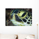 Hawksbill Sea Turtle Portrait Wall Decal