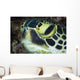 Hawksbill Sea Turtle Portrait Wall Decal