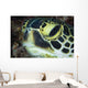 Hawksbill Sea Turtle Portrait Wall Decal