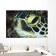 Hawksbill Sea Turtle Portrait Wall Decal