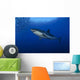 Female Great White Wall Decal