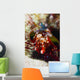 Mantis Shrimp Australia Wall Decal