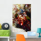Mantis Shrimp Australia Wall Decal