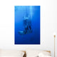 Great White Shark and Wall Decal Design 3