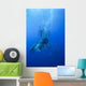 Great White Shark and Wall Decal Design 2