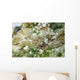 Triplefin Indonesia Wall Decal
