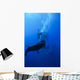 Great White Shark and Wall Decal Design 1