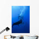 Great White Shark and Wall Decal Design 1