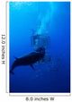 Great White Shark and Wall Decal Design 1