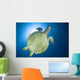Hawksbill Sea Turtle Belly Wall Decal
