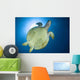 Hawksbill Sea Turtle Belly Wall Decal