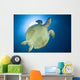 Hawksbill Sea Turtle Belly Wall Decal