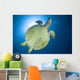 Hawksbill Sea Turtle Belly Wall Decal