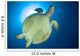 Hawksbill Sea Turtle Belly Wall Decal