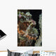 Bearded Scorpionfish Indonesia Wall Decal