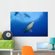 Female Great White Guadalupe Wall Decal