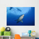 Female Great White Guadalupe Wall Decal