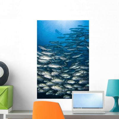 School Bigeye Trevally with Wall Decal shown on a wall