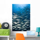 School Bigeye Trevally with Wall Decal
