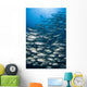 School Bigeye Trevally with Wall Decal