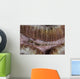 Close-up Goby Indonesia Wall Decal